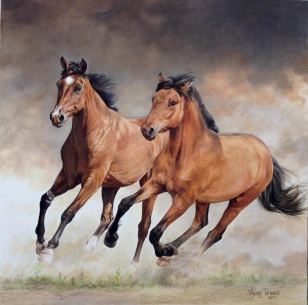Horses 1